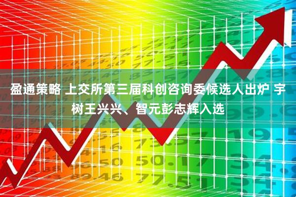盈通策略 上交所第三届科创咨询委候选人出炉 宇树王兴兴、智元彭志辉入选