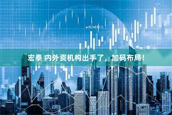 宏泰 内外资机构出手了，加码布局！