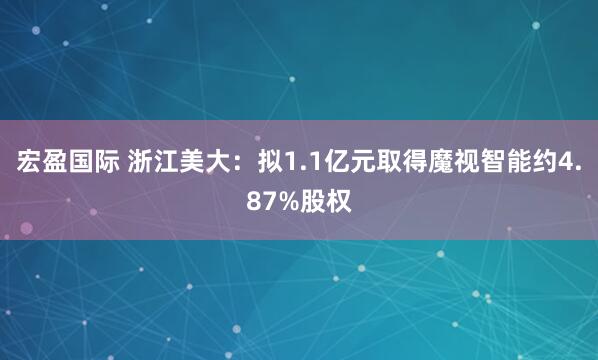 宏盈国际 浙江美大：拟1.1亿元取得魔视智能约4.87%股权