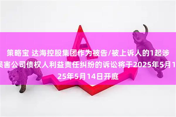 策略宝 达海控股集团作为被告/被上诉人的1起涉及股东损害公司债权人利益责任纠纷的诉讼将于2025年5月14日开庭