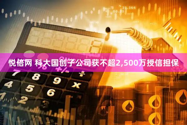 悦倍网 科大国创子公司获不超2,500万授信担保