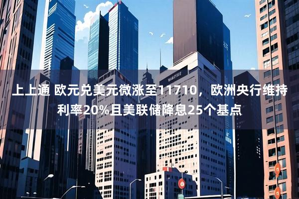上上通 欧元兑美元微涨至11710，欧洲央行维持利率20%且美联储降息25个基点
