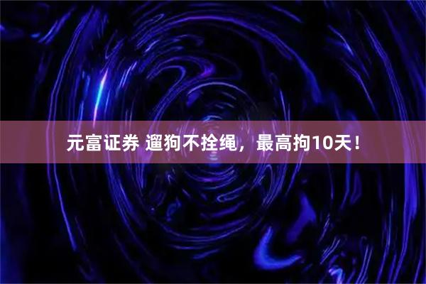 元富证券 遛狗不拴绳，最高拘10天！
