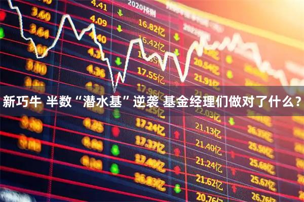 新巧牛 半数“潜水基”逆袭 基金经理们做对了什么？